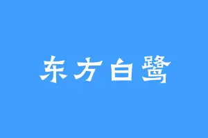 东方白鹭