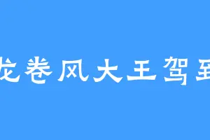 龙卷风大王驾到