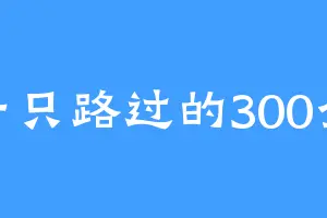 一只路过的300金