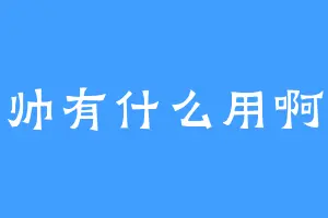 帅有什么用啊