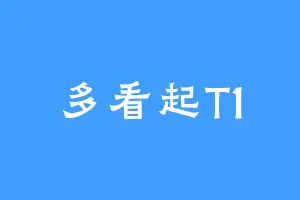 多看起T1