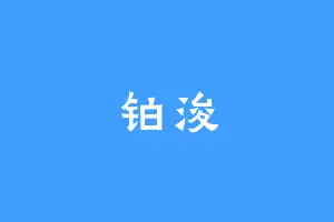 铂浚