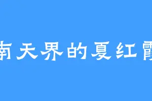 南天界的夏红霞