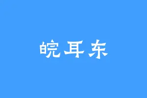 皖耳东
