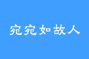 宛宛如故人