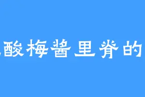爱吃酸梅酱里脊的陈叔