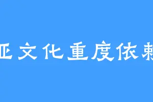 亚文化重度依赖
