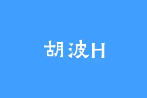 胡波H