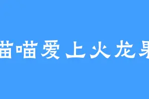 喵喵爱上火龙果