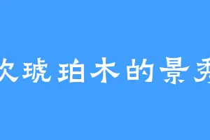喜欢琥珀木的景秀祖