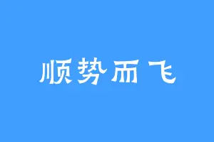 顺势而飞