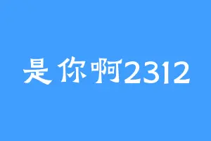 是你啊2312
