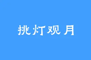 挑灯观月