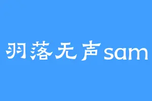 羽落无声sam