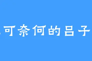 无可奈何的吕子乔