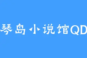琴岛小说馆QD