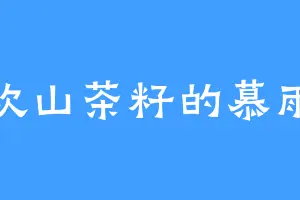喜欢山茶籽的慕雨青