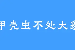 甲壳虫不处大象