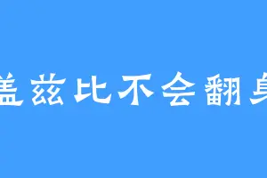盖兹比不会翻身