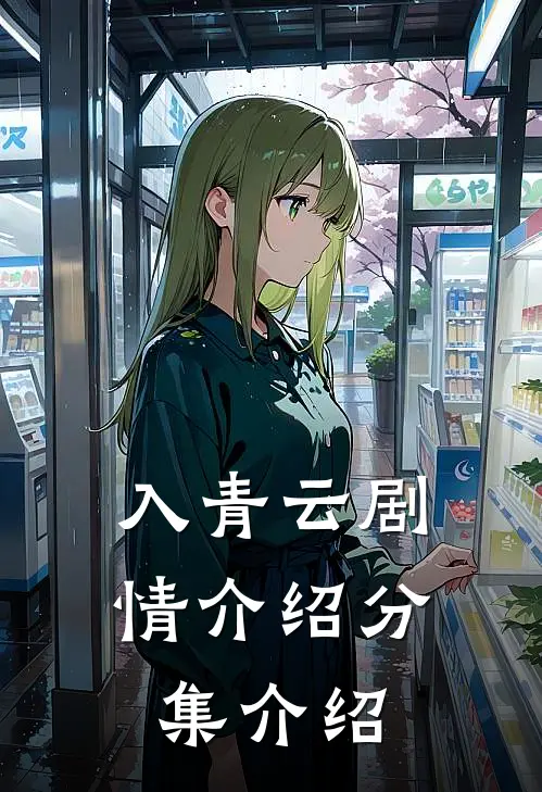 入青云剧情介绍分集介绍