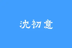 沈初意