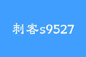 刺客s9527