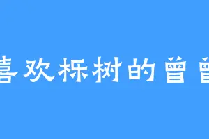 喜欢栎树的曾曾