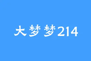 大梦梦214
