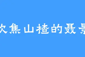 喜欢焦山楂的聂景峰