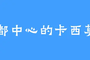 魔都中心的卡西莫多