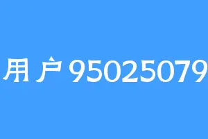 用户95025079