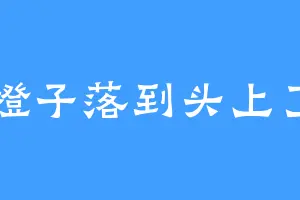 橙子落到头上了