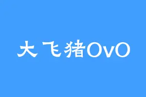 大飞猪OvO