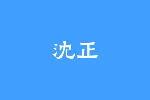 沈正