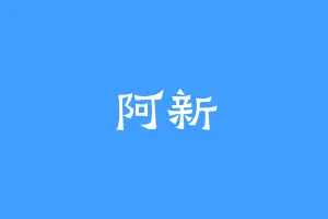 阿新