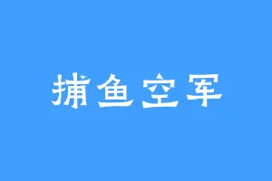捕鱼空军