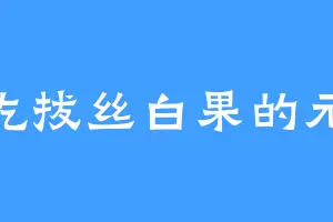 爱吃拔丝白果的元胜