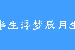 半生浮梦辰月生