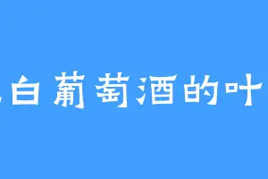 爱吃白葡萄酒的叶大师