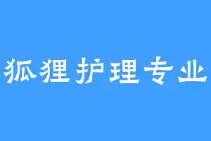 狐狸护理专业