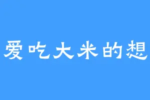 爱吃大米的想
