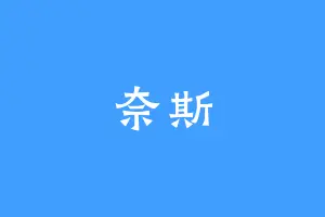 奈斯