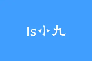Is小九
