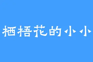 栖梧花的小小