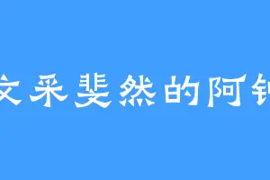 文采斐然的阿钟