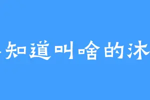 不知道叫啥的沐阳