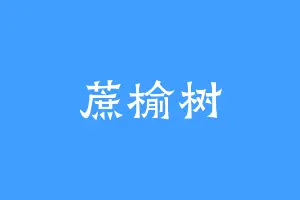 蔗榆树