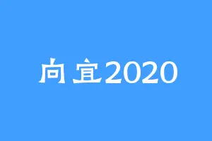 向宜2020