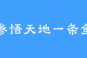 参悟天地一条鱼