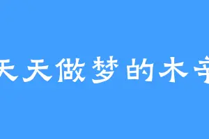 天天做梦的木辛